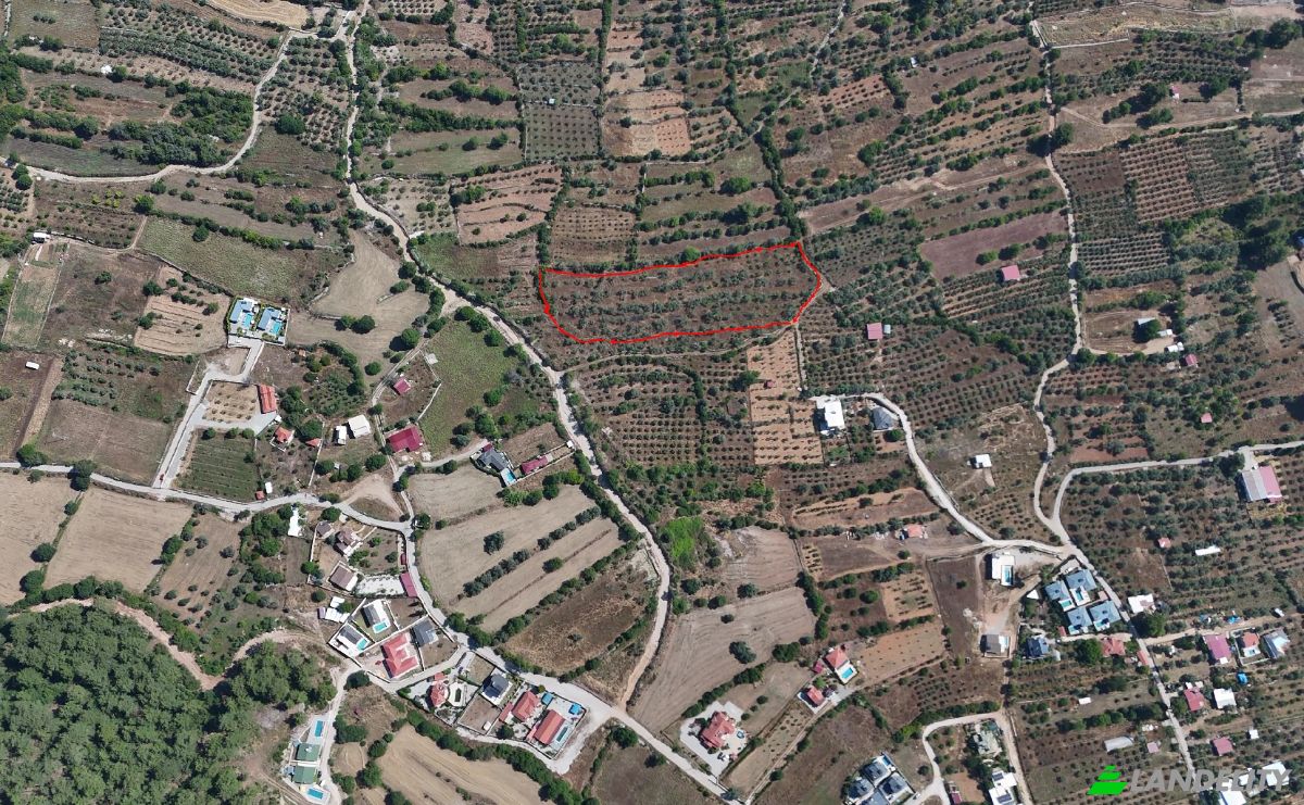Island for Sale Incirkoy, ova kume evleri no 35 2, 48300 Fethiye Mugla, Fethiye Mugla, Fethiye, Mugla, Turkiye. Photo 8