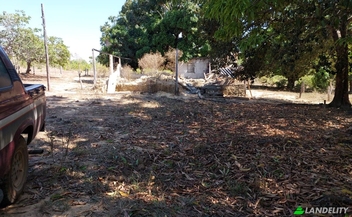 Farm/Ranch for Sale Uruacu, State of Goias, Brazil, 76400-000. Photo 4