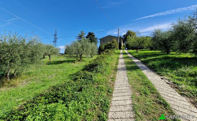 Apartment for Sale Via di Rosano. Photo#24 Apartment for Sale Via di Rosano. Photo#24