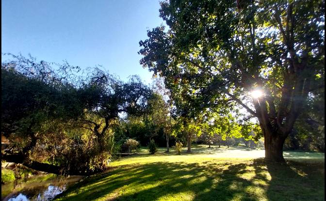 Mansion for Sale 21 Rue du Moulin dAmeil. Photo#6