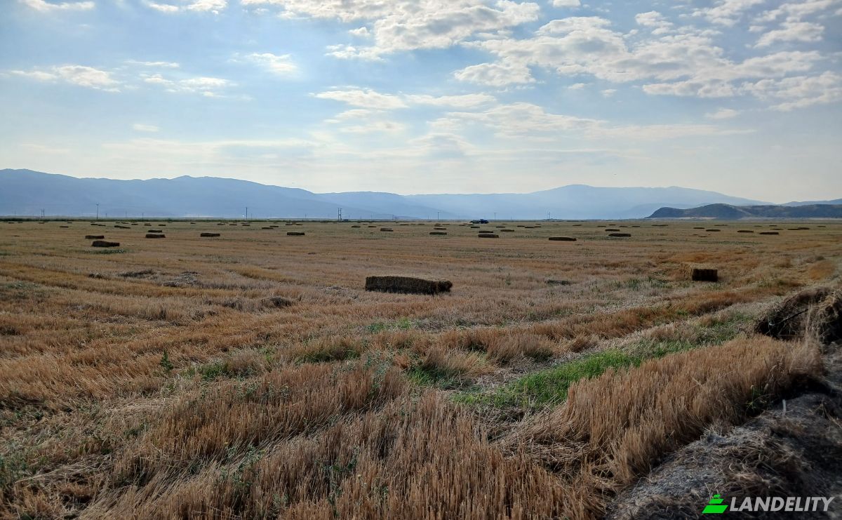 Lot de terrain à vendre Kileler 415 00, Armenio, Thessalia, Decentralized Administration of Thessaly and Central Greece, Greece. Photo 1