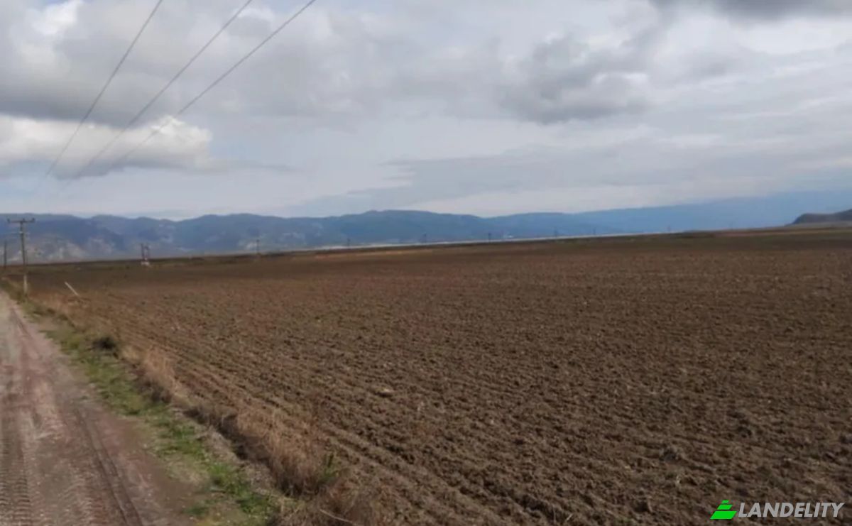 Land Lot for Sale Kileler 415 00, Armenio, Thessalia, Decentralized Administration of Thessaly and Central Greece, Greece. Photo 2