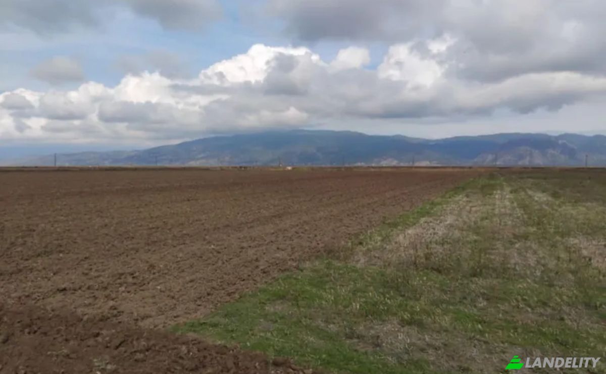 Land Lot for Sale Kileler 415 00, Armenio, Thessalia, Decentralized Administration of Thessaly and Central Greece, Greece. Photo 3