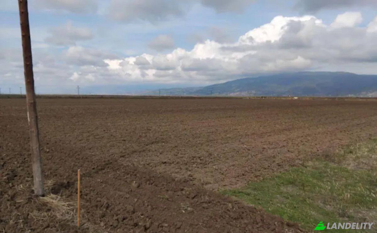 Land Lot for Sale Kileler 415 00, Armenio, Thessalia, Decentralized Administration of Thessaly and Central Greece, Greece. Photo 4
