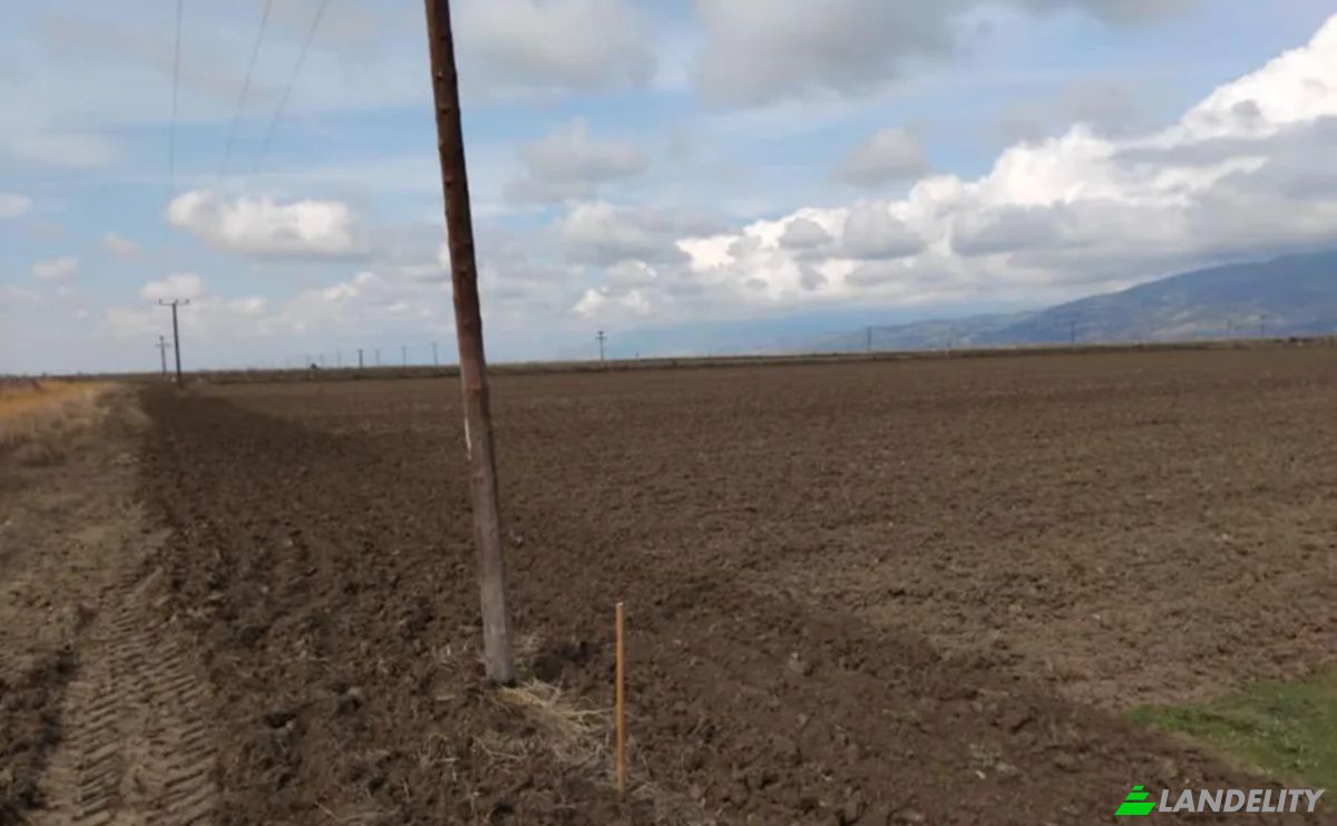 Land Lot for Sale Kileler 415 00, Armenio, Thessalia, Decentralized Administration of Thessaly and Central Greece, Greece. Photo 5