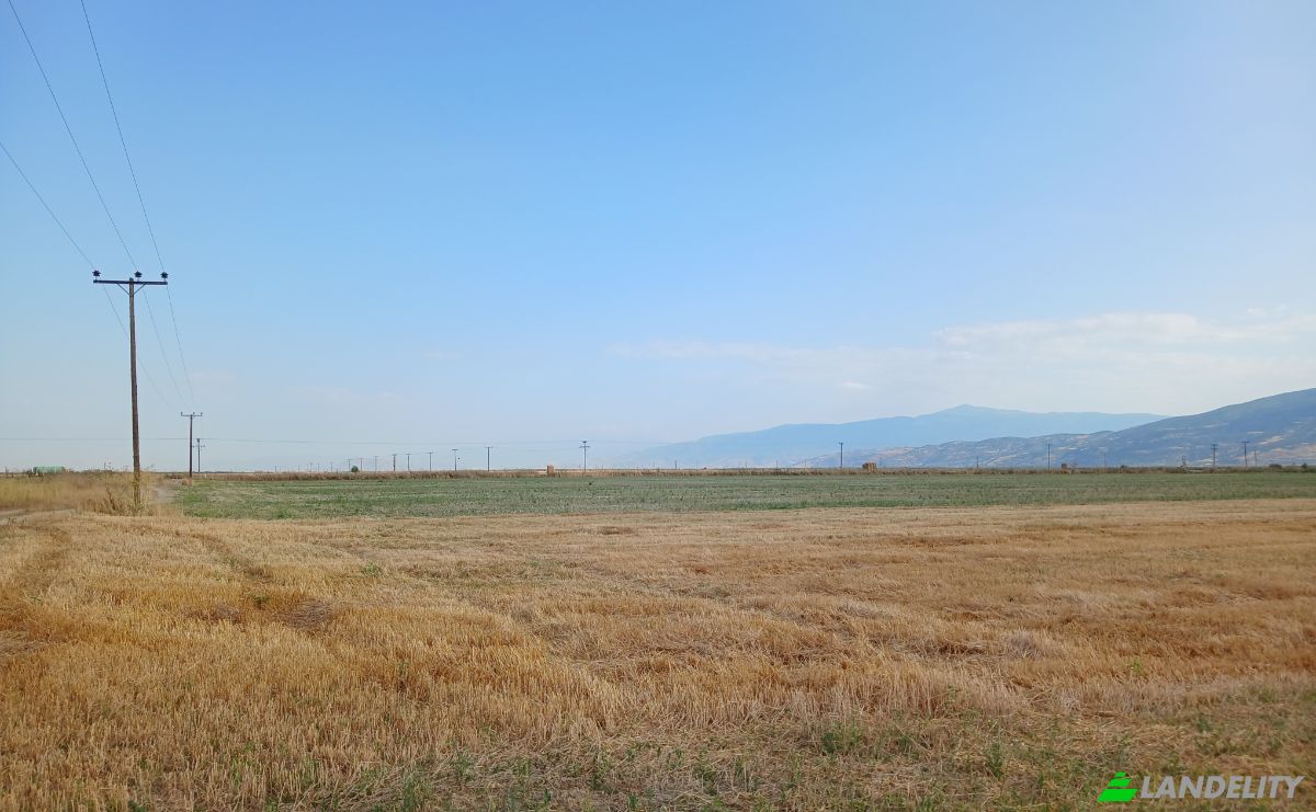 Land Lot for Sale Kileler 415 00, Armenio, Thessalia, Decentralized Administration of Thessaly and Central Greece, Greece. Photo 7