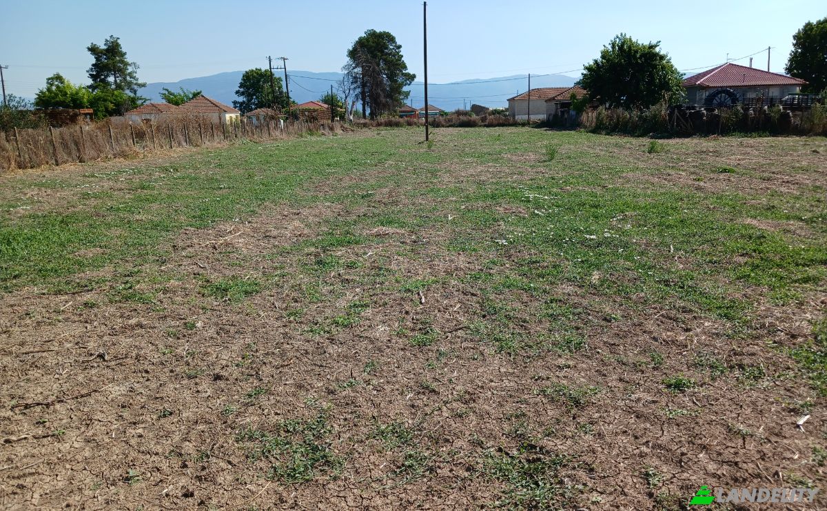 Farm/Ranch for Sale Sotirio 415 00, Sotirio, Thessalia, Decentralized Administration of Thessaly and Central Greece, Greece. Photo 7