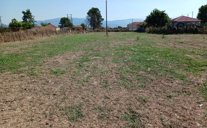 Farm/Ranch for Sale Sotirio 415 00, Sotirio. Photo#7