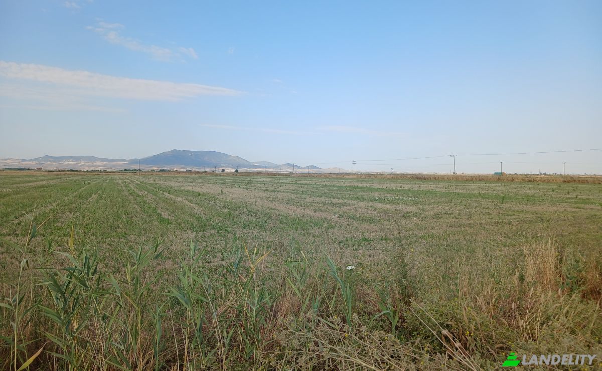 Bauernhof/Ranch zu verkaufen Sotirio 415 00, Sotirio, Thessalia, Decentralized Administration of Thessaly and Central Greece, Greece. Foto 9