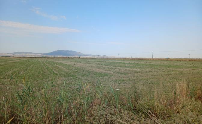 Bauernhof/Ranch zu verkaufen Sotirio 415 00. Foto#9