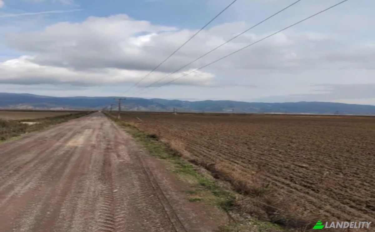 Farm/Ranch for Sale Sotirio 415 00, Sotirio, Thessalia, Decentralized Administration of Thessaly and Central Greece, Greece. Photo 10