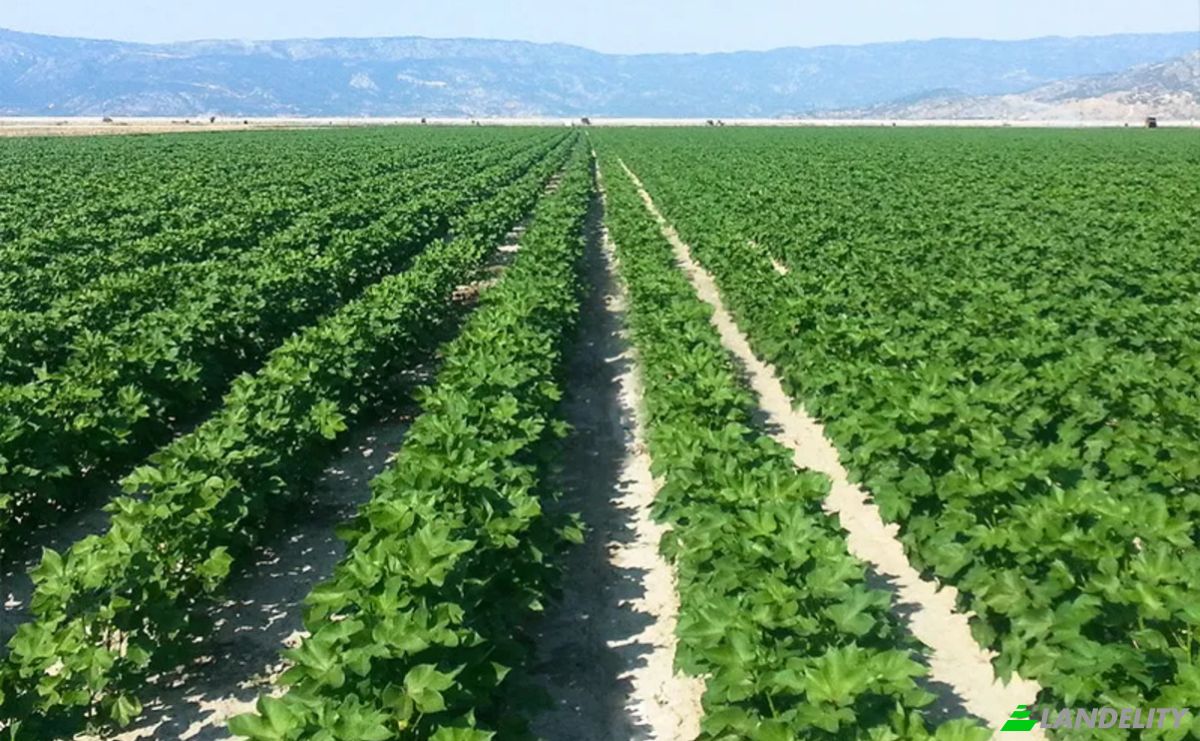 Farm/Ranch for Sale Sotirio 415 00, Sotirio, Thessalia, Decentralized Administration of Thessaly and Central Greece, Greece. Photo 14