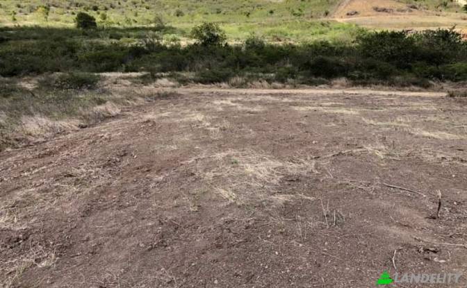 Land Lot for Sale Saint Johns, Saint John. Photo#6