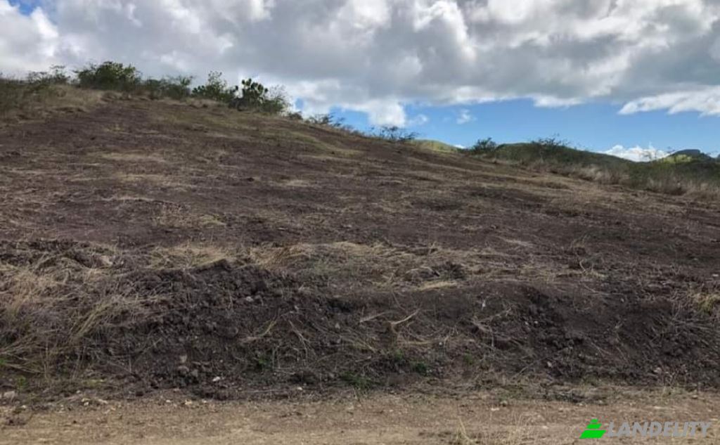 Land Lot for Sale Saint Johns, Saint John, Antigua and Barbuda. Photo 4