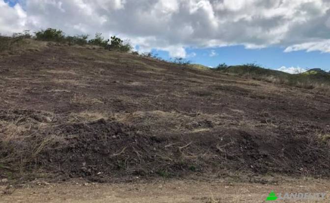 Land Lot for Sale Saint Johns, Saint John. Photo#4