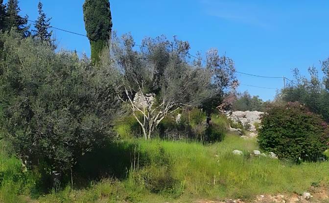 Land Lot for Sale Otocka cesta 14, 23271, Banj. Photo#10 Land Lot for Sale Otocka cesta 14, 23271, Banj. Photo#10