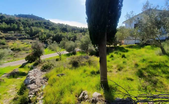 Land Lot for Sale Otocka cesta 14, 23271, Banj. Photo#11 Land Lot for Sale Otocka cesta 14, 23271, Banj. Photo#11