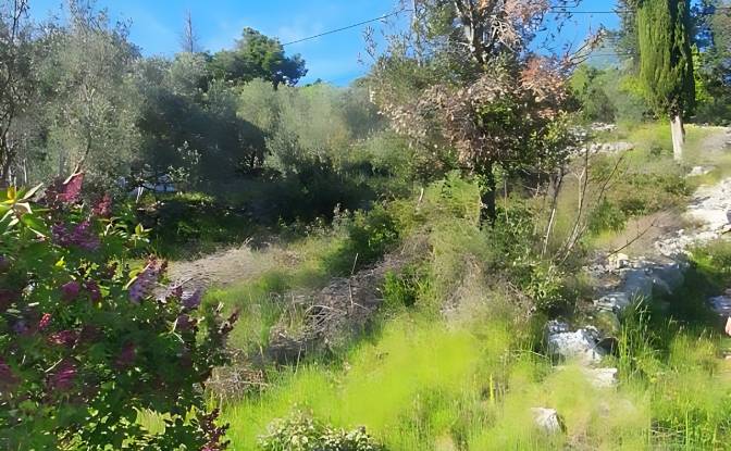 Land Lot for Sale Otocka cesta 14, 23271, Banj. Photo#3 Land Lot for Sale Otocka cesta 14, 23271, Banj. Photo#3