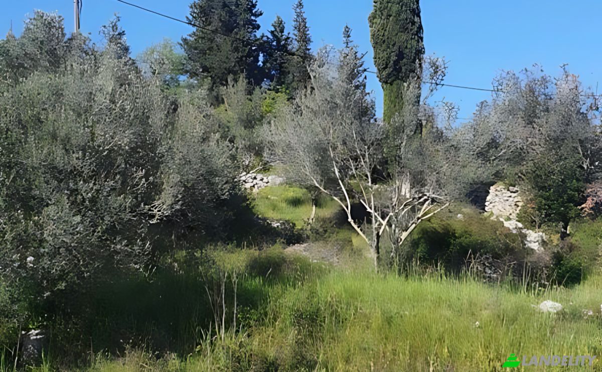 Land Lot for Sale Otocka cesta 14, 23271, Banj, Pasman, Zadar County, Croatia. Photo 8