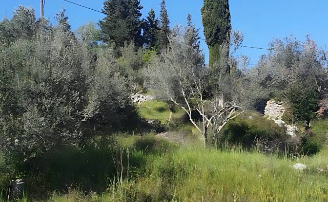 Land Lot for Sale Otocka cesta 14, 23271, Banj. Photo#8 Land Lot for Sale Otocka cesta 14, 23271, Banj. Photo#8