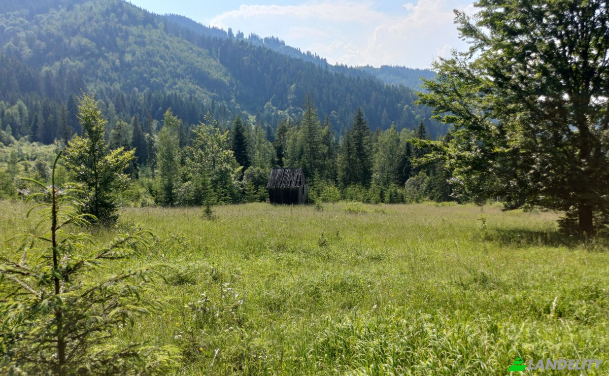 Lote de terreno à venda Str Valea Strajerului, Campulung Moldovenesc, Pojorata, Suceava County, Romania. foto 1