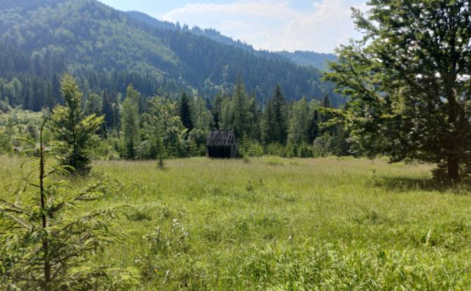 Land Lot for Sale - Campulung Moldovenesc, Romania