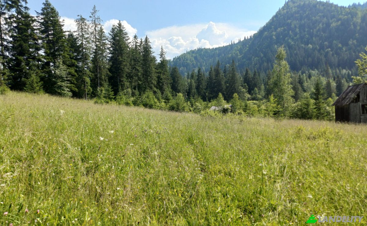 Lote de terreno à venda Str Valea Strajerului, Campulung Moldovenesc, Pojorata, Suceava County, Romania. foto 2