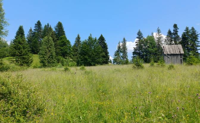 Lote de terreno à venda Str Valea Strajerului. foto#3