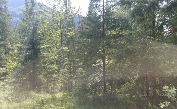 Lote de terreno à venda Str Valea Strajerului. foto#4