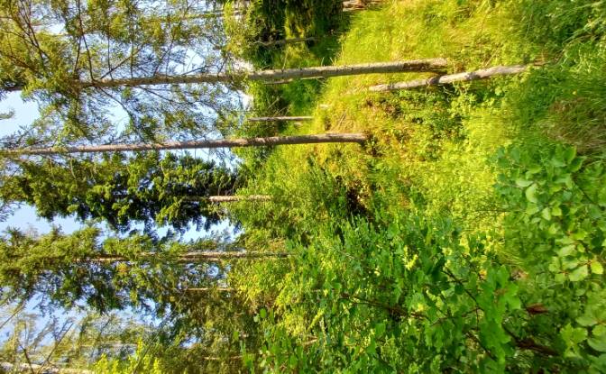 Lote de terreno à venda Str Valea Strajerului. foto#5