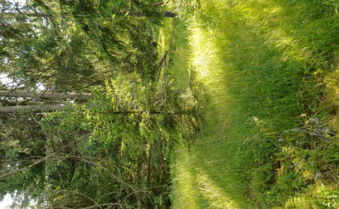 Lote de terreno à venda Str Valea Strajerului. foto#7