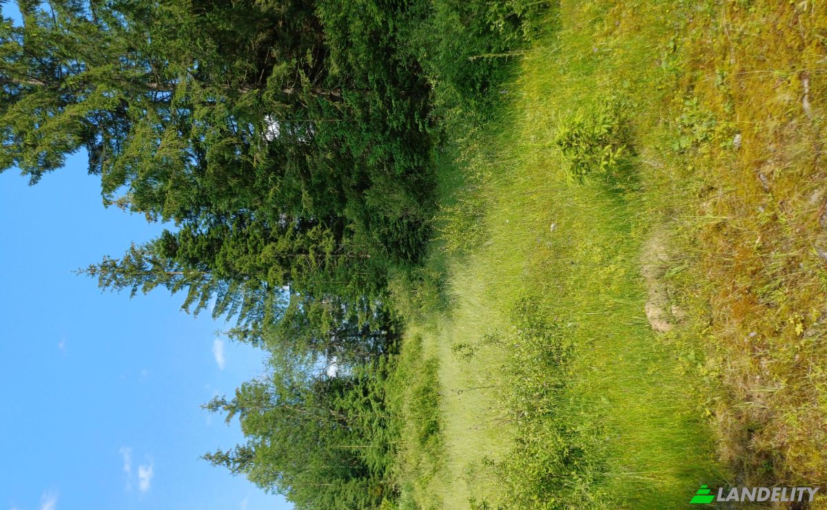 Lote de terreno à venda Str Valea Strajerului, Campulung Moldovenesc, Pojorata, Suceava County, Romania. foto 8