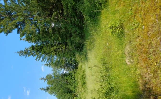 Lote de terreno à venda Str Valea Strajerului. foto#8
