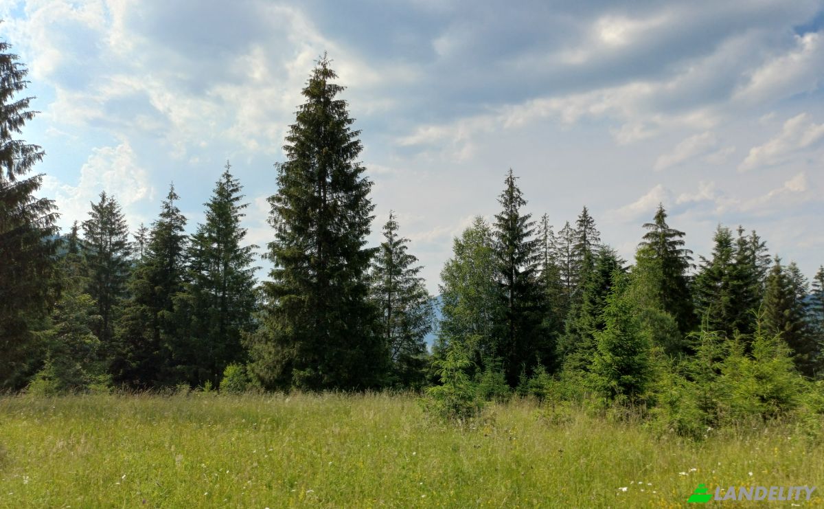 Lote de terreno à venda Str Valea Strajerului, Campulung Moldovenesc, Pojorata, Suceava County, Romania. foto 9