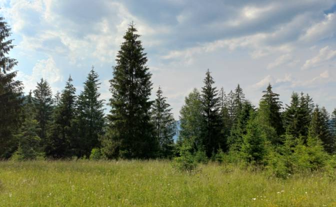 Lote de terreno à venda Str Valea Strajerului. foto#9