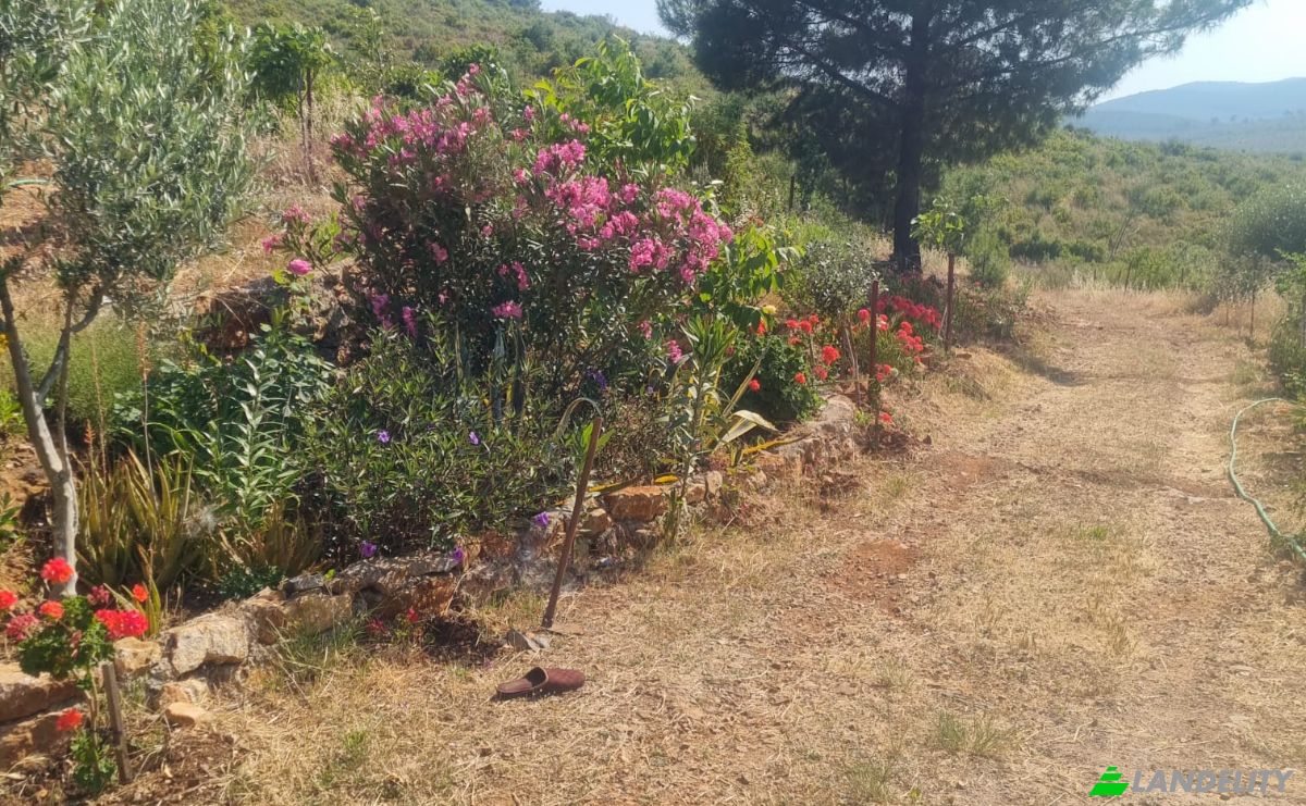 Land Lot for Sale Mazikoy, 48440 Bodrum Mugla, Bodrum Mugla, Bodrum, Mugla, Turkiye. Photo 12