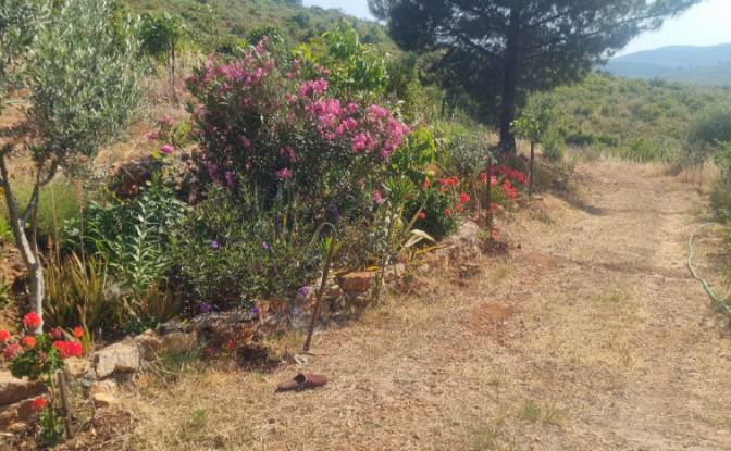 Land Lot for Sale Mazikoy, 48440 Bodrum Mugla. Photo#12