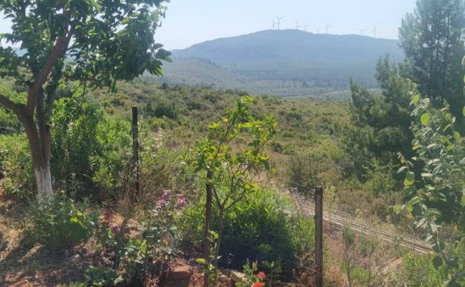 Land Lot for Sale Mazikoy, 48440 Bodrum Mugla. Photo#14