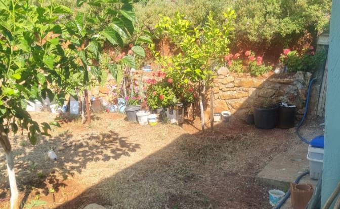 Land Lot for Sale Mazikoy, 48440 Bodrum Mugla. Photo#15