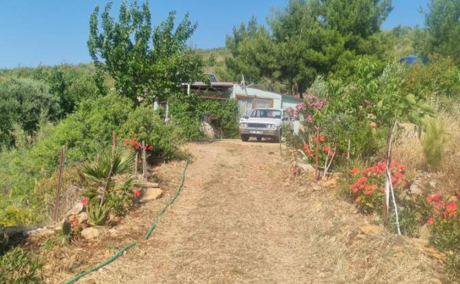 Land Lot for Sale Mazikoy, 48440 Bodrum Mugla. Photo#2