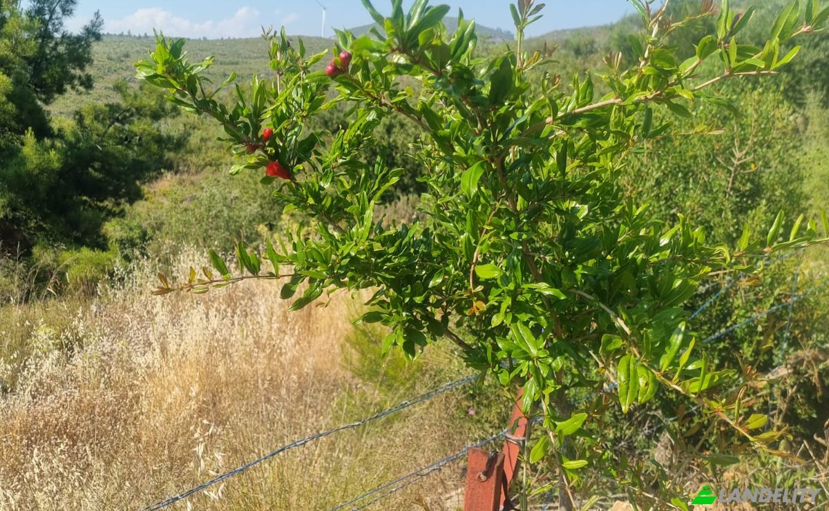 Land Lot for Sale Mazikoy, 48440 Bodrum Mugla, Bodrum Mugla, Bodrum, Mugla, Turkiye. Photo 20