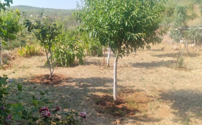 Land Lot for Sale Mazikoy, 48440 Bodrum Mugla. Photo#9