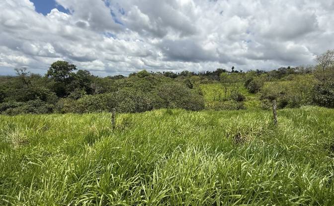 Land Lot for Sale - Sortova, Panama