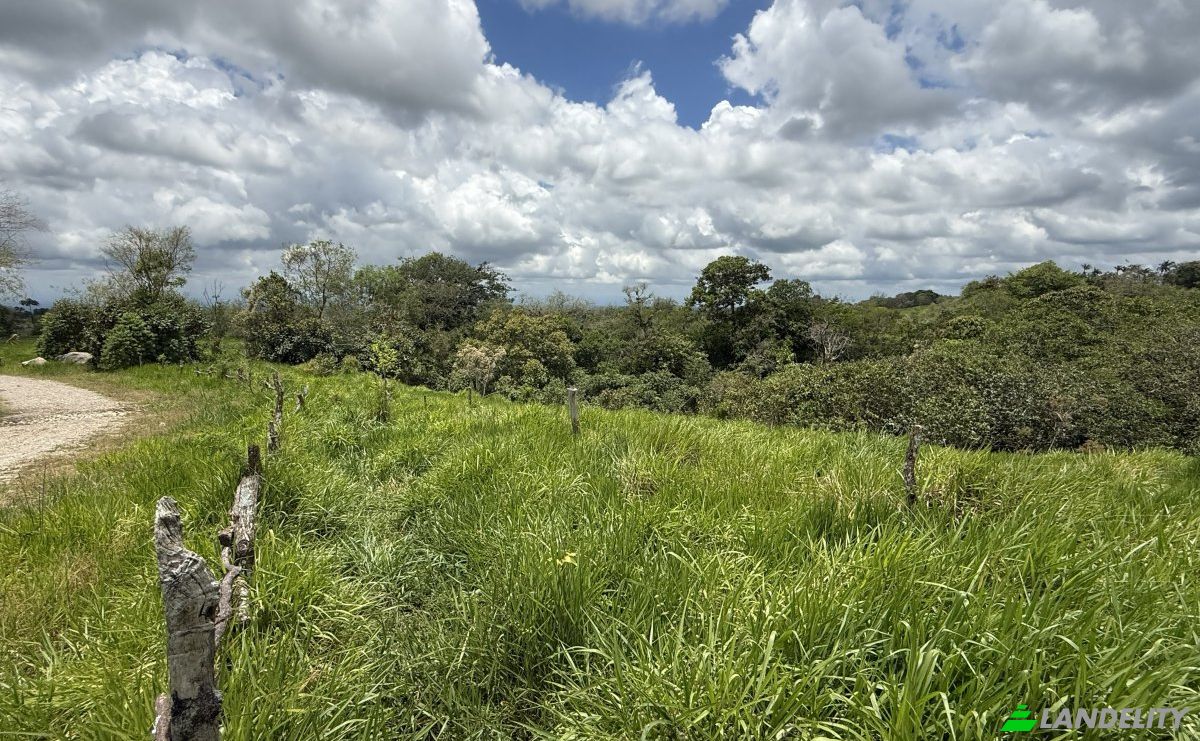 Land Lot for Sale Manzana 040511 1-28, Sortova, Bugaba District, Chiriqui Province, Panama, Provincia de Chiriqui. Photo 2