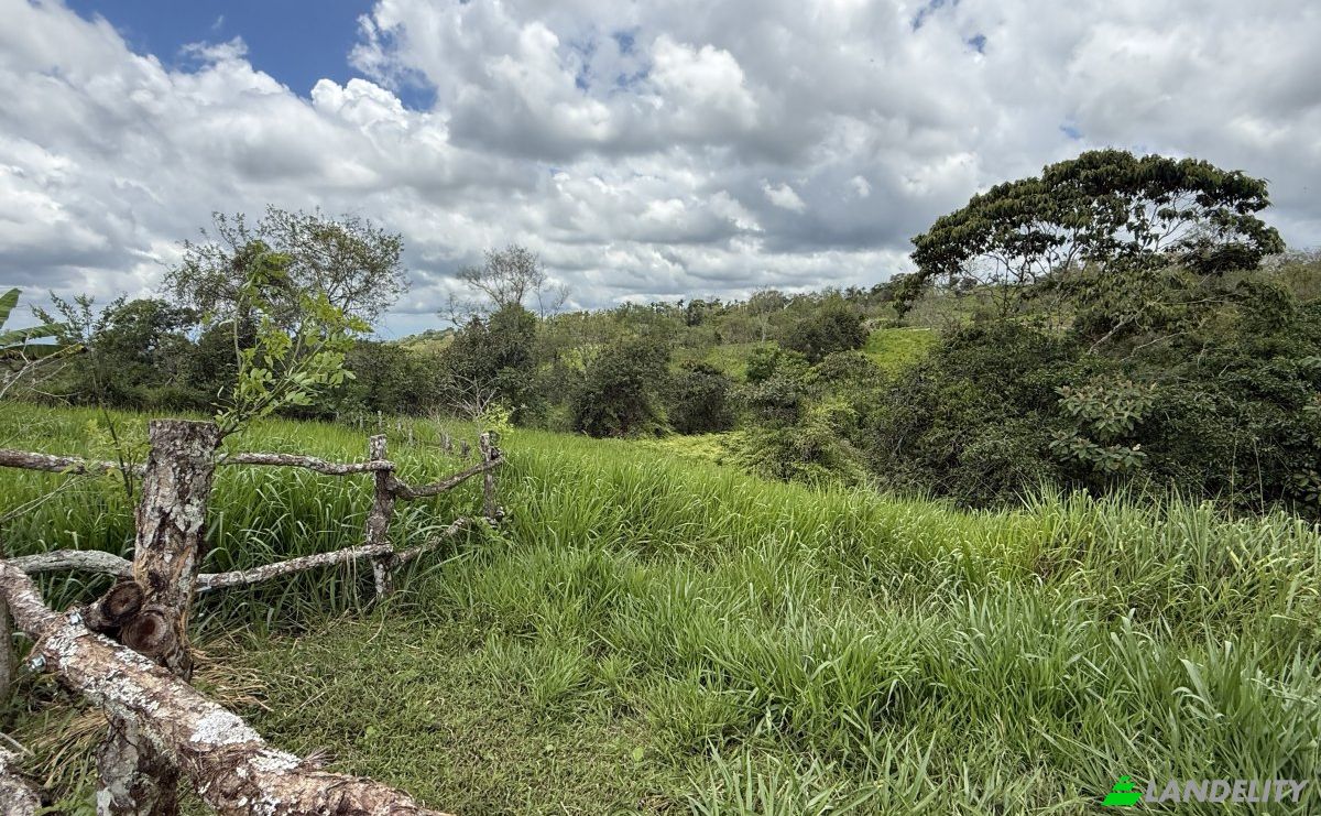 Land Lot for Sale Manzana 040511 1-28, Sortova, Bugaba District, Chiriqui Province, Panama, Provincia de Chiriqui. Photo 3