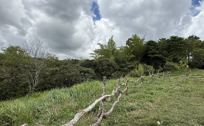 Land Lot for Sale Manzana 040511 1-28, Sortova. Photo#4 Land Lot for Sale Manzana 040511 1-28, Sortova. Photo#4
