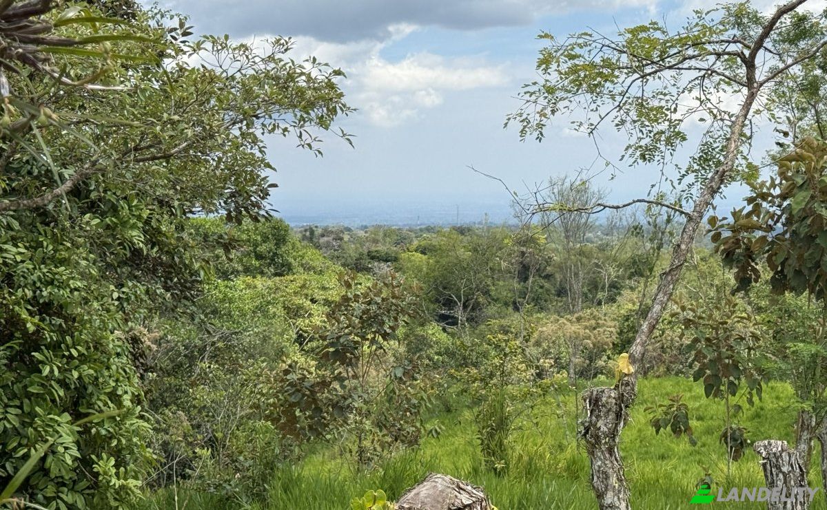 Grondperceel Te koop Manzana 040511 1-33, Sortova, Bugaba District, Chiriqui Province, Panama, Provincia de Chiriqui. Foto 6