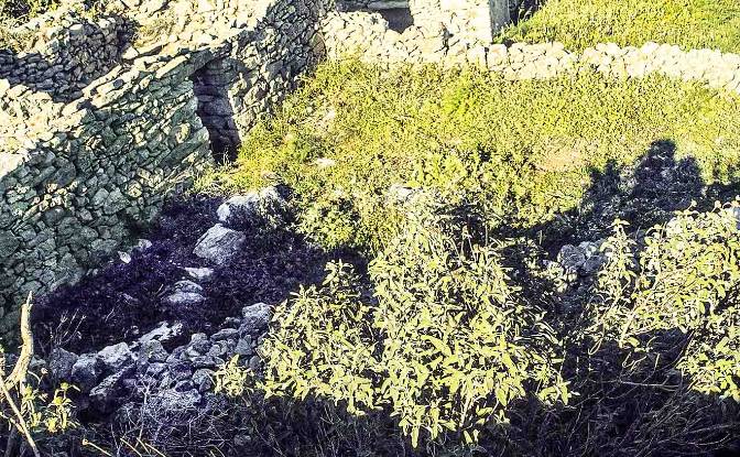 Land Lot for Sale dos xoris onomasia, Kousounari. Photo#8 Land Lot for Sale dos xoris onomasia, Kousounari. Photo#8