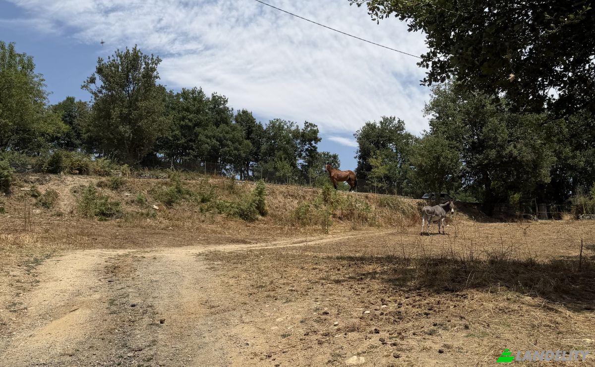 Land Lot for Sale Via Curune, 08020 Gavoi NU, Gavoi NU, Province of Nuoro, Sardinia, Italy. Photo 2