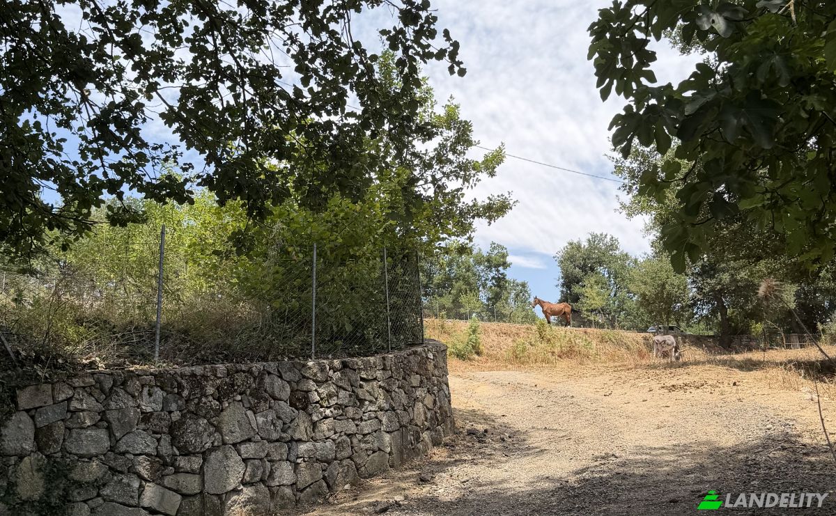 Land Lot for Sale Via Curune, 08020 Gavoi NU, Gavoi NU, Province of Nuoro, Sardinia, Italy. Photo 3